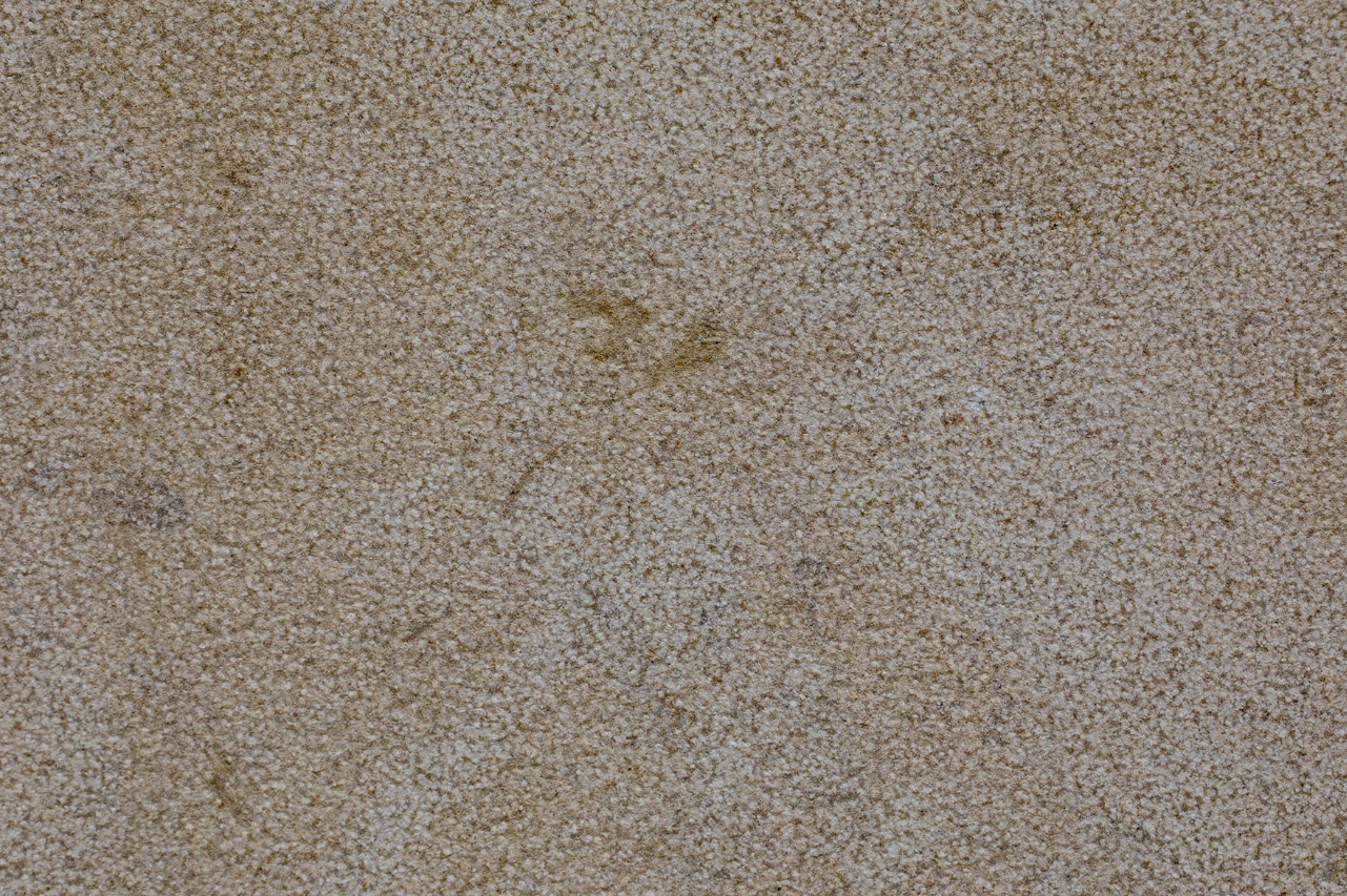 Taza Beige Boucharde